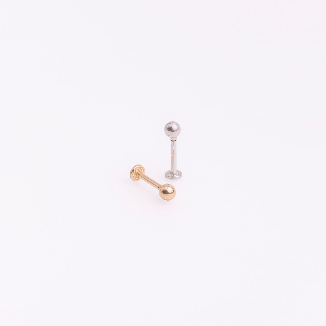 Basic Piercings