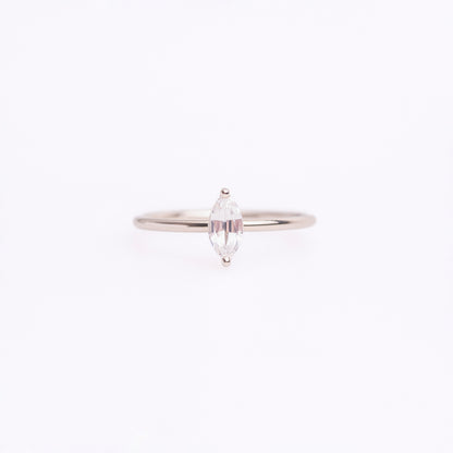 Jeanne Ring